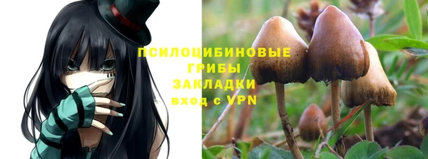 марки nbome Михайлов