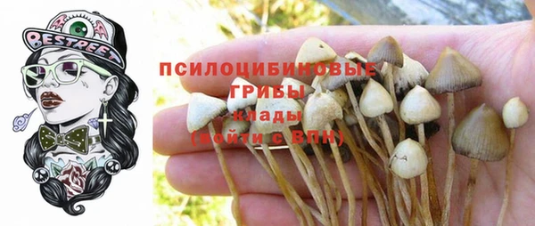 герыч Надым