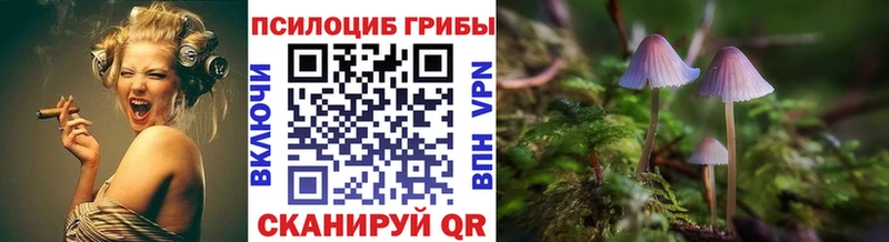 MEGA как зайти  Кострома  Псилоцибиновые грибы Psilocybe  дарнет шоп 