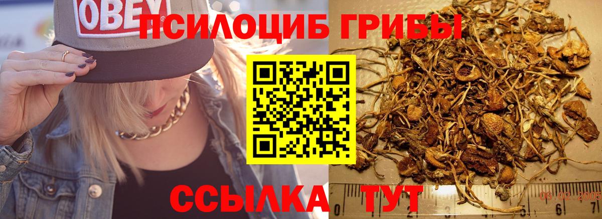 Галлюциногенные грибы MAGIC MUSHROOMS Кострома