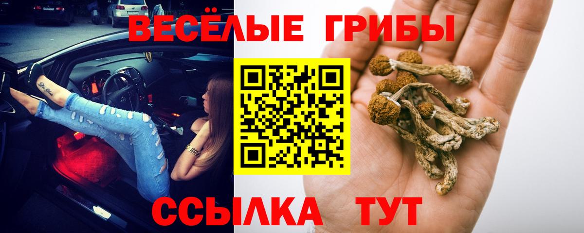 Кострома  Псилоцибиновые грибы ЛСД  Вход с VPN 